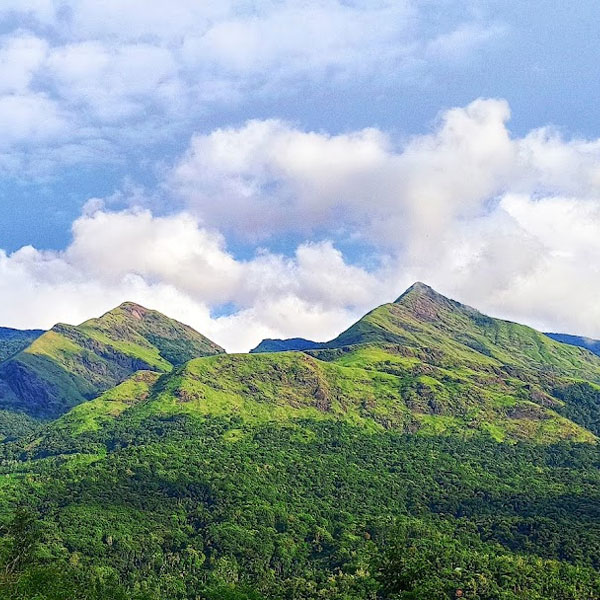 Audathode View Point