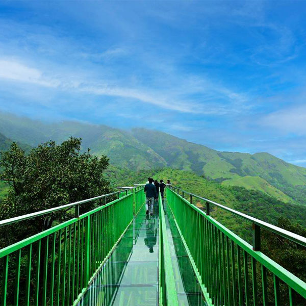 Glass Bridge 900 Kandi Wayanad